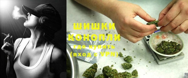 прущий лед Абаза