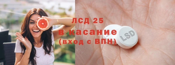 трава Новозыбков