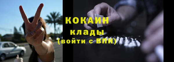 СК Новодвинск