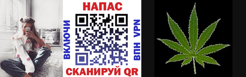 как найти закладки  Тырныауз  Канабис гибрид 